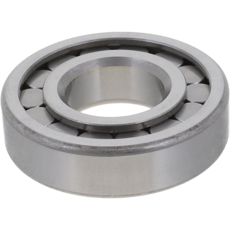 Spicer Differential Bearing, 10038915 10038915
